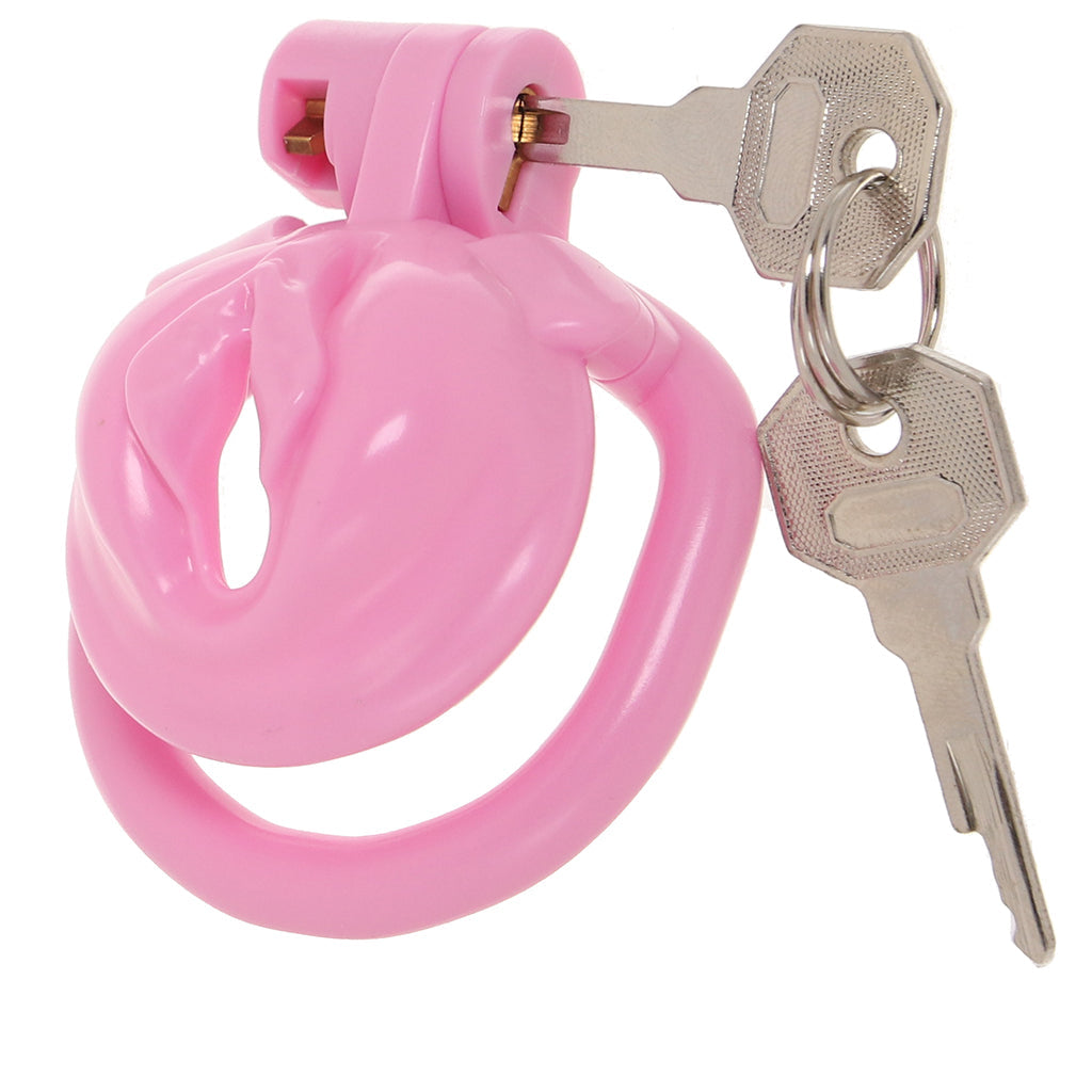 Blueline Bitchboy Degrading Mini Chastity Cage - Tophatter's Adult Sex Toys Online Bondage and Fetish > Cock and Ball Devices - Tophatter Daily Deals