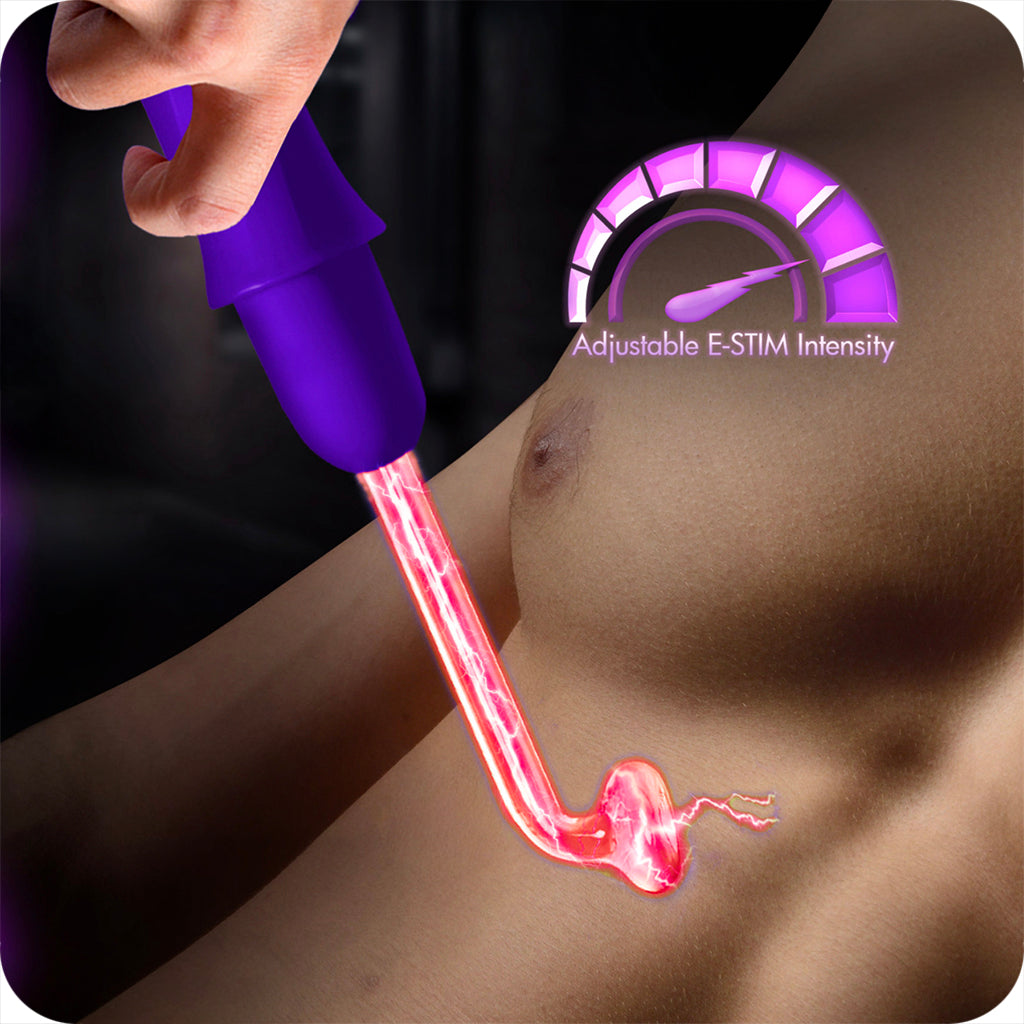 Master Series Electrawand E-Stim Set in Purple Bondage and Fetish > Electro Stim - Tophatter Daily Deals