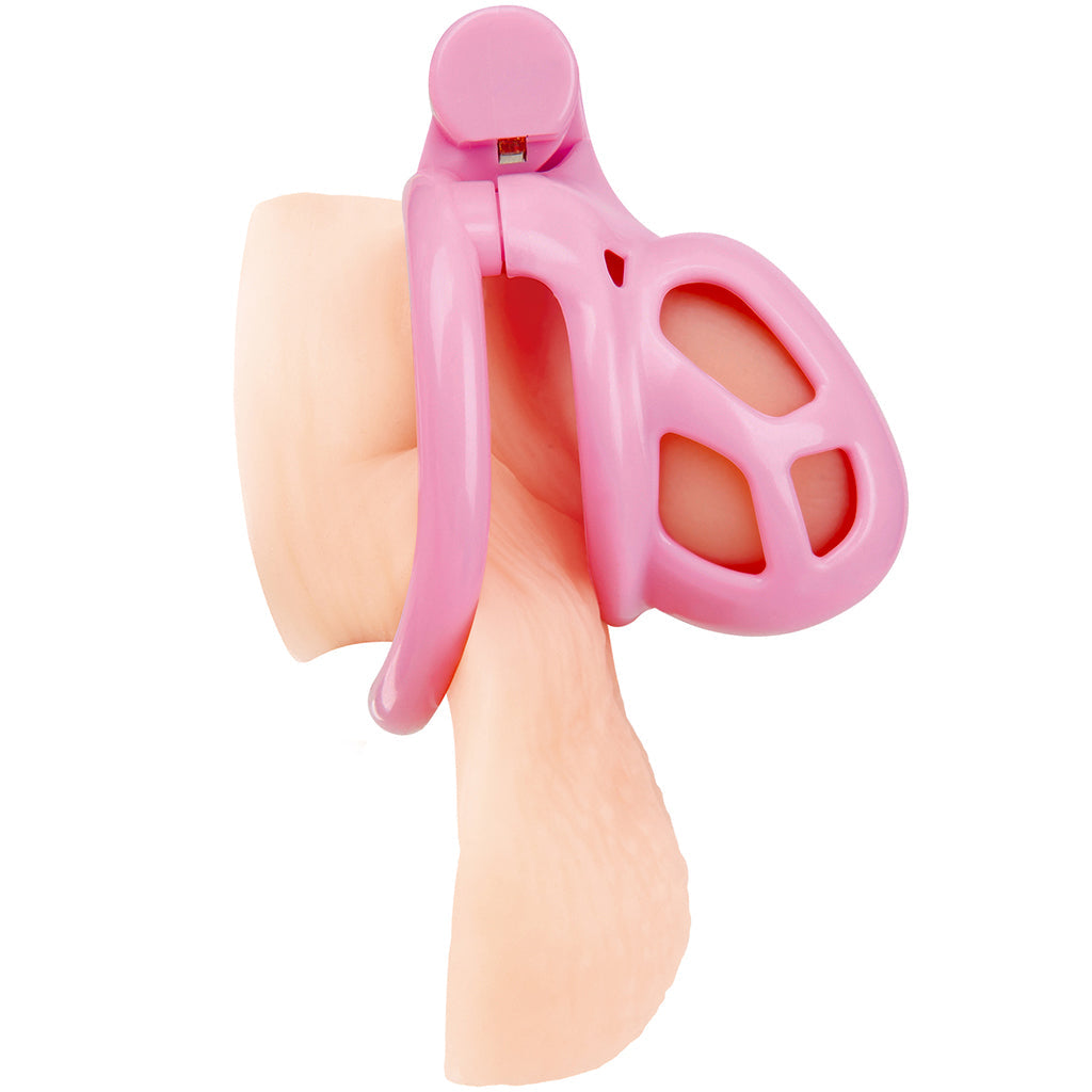 Blueline Small Pink Humiliation Prisoner Cock Cage Bondage and Fetish > Cock and Ball Devices - Tophatter Daily Deals