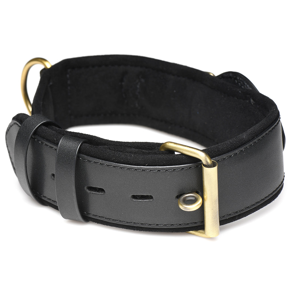Master Series Tracer Tracking Collar Bondage and Fetish > Leashes and Collars - Tophatter Daily Deals