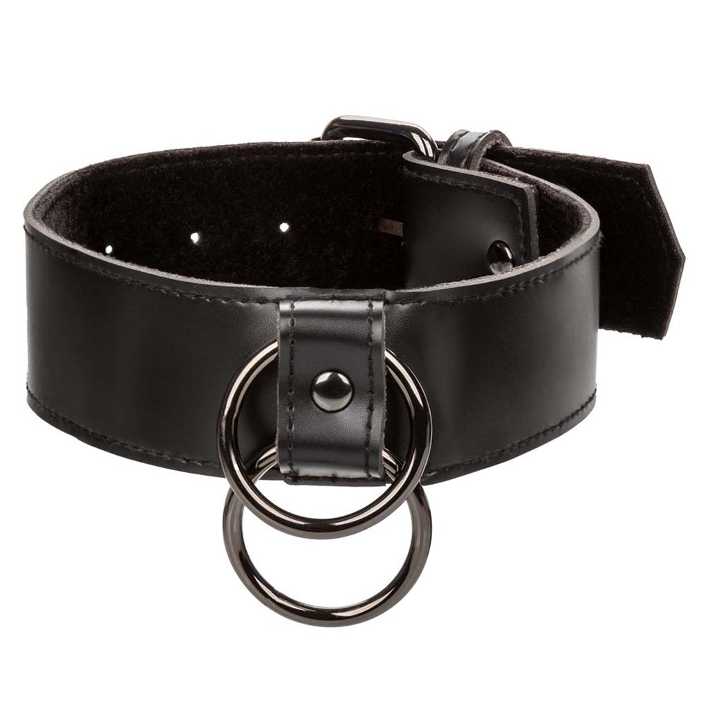 Euphoria Collar With Chain Leash Bondage and Fetish > Leashes and Collars - Tophatter Daily Deals