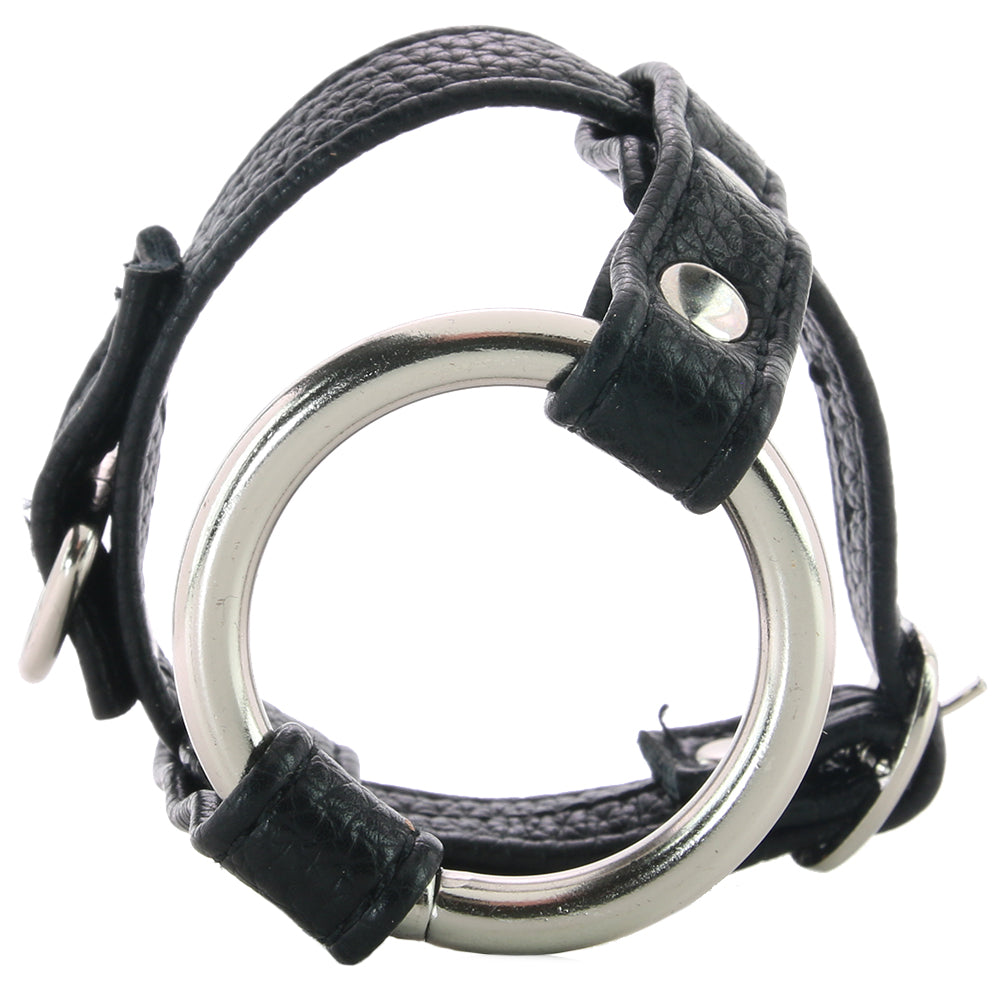 Blue Line Duo Cock and Ball Lock Bondage and Fetish > Cock and Ball Devices - Tophatter Daily Deals