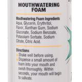 Smack Tarts Mouthwatering Foam 2.7oz/80ml in Watermelon Lubes and Lotions > Flavored Sex Lubes - Tophatter Daily Deals