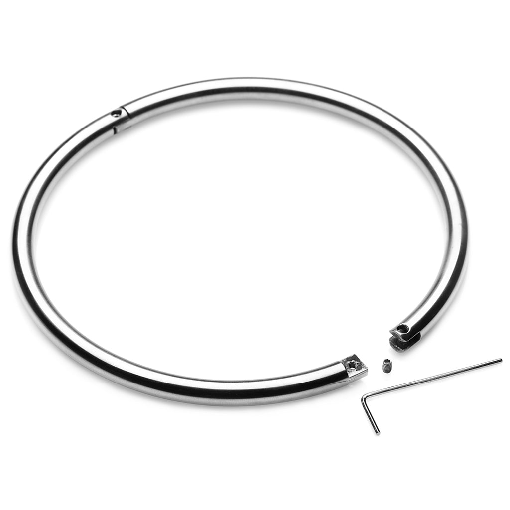 Master Series Possession Steel Lock Collar Bondage and Fetish > Leashes and Collars - Tophatter Daily Deals