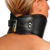 Master Series Hard Stance Padded Posture Collar Bondage and Fetish > Leashes and Collars - Tophatter Daily Deals
