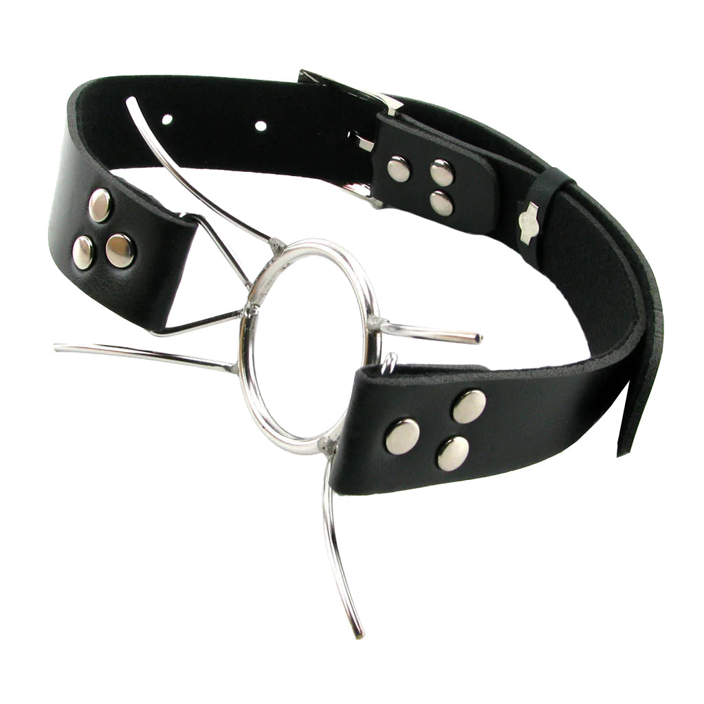 Fetish Fantasy Extreme Spider Gag Bondage and Fetish > Ball Gags & Mouth Restraints - Tophatter Daily Deals