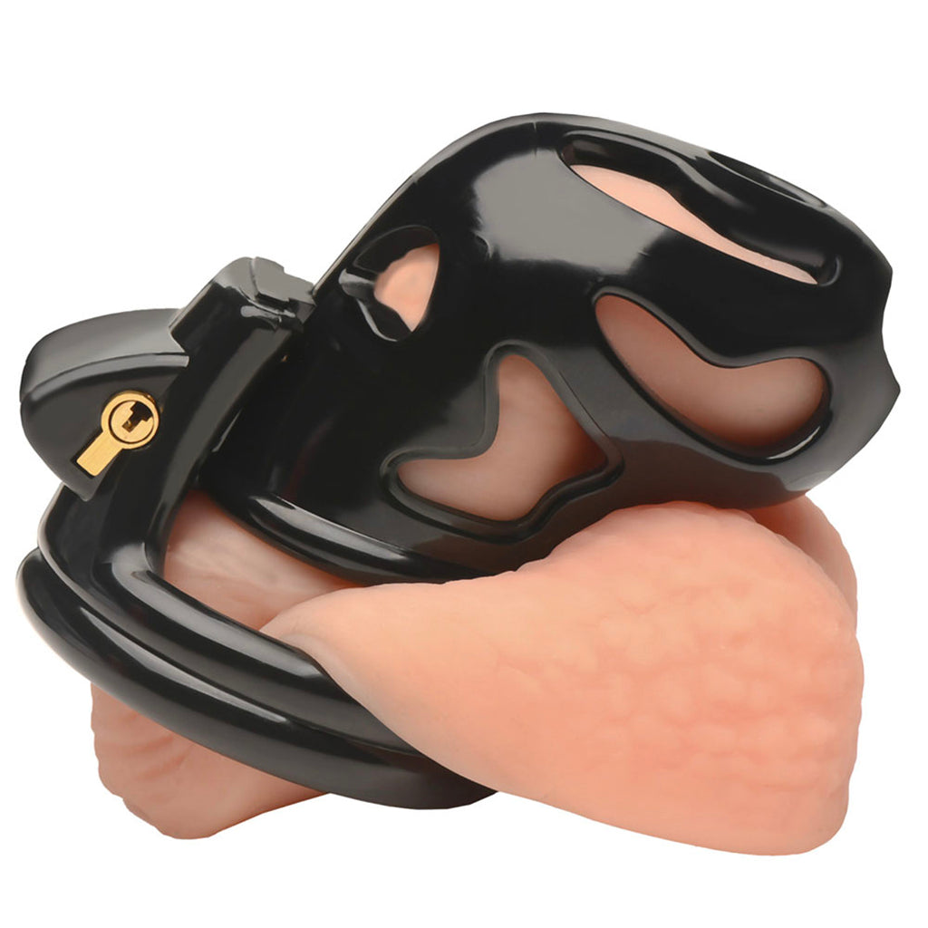 Master Series Hard Stop Double Ring Chastity Cage Bondage and Fetish > Cock and Ball Devices - Tophatter Daily Deals