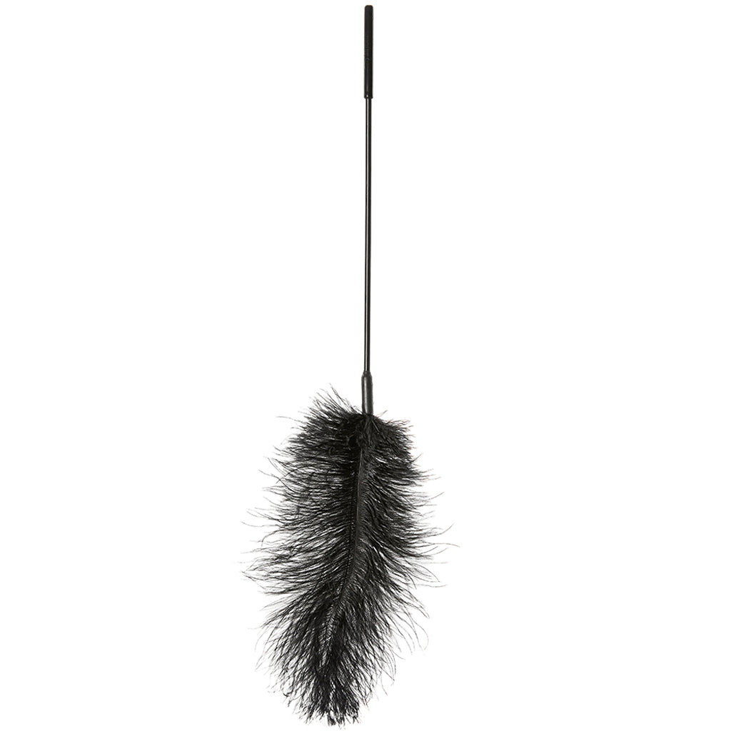Ostrich Feather Body Tickler in Black - Tophatter's Adult Products Bondage and Fetish > Tools & Accessories - Tophatter Daily Deals