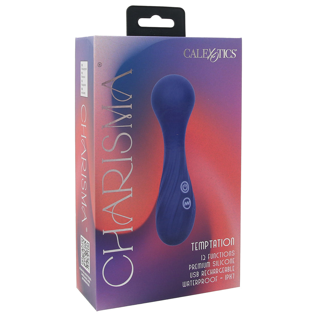 Charisma Temptation Massager Vibe Vibrators > Clitoral Stimulators - Tophatter Daily Deals