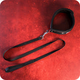 Sei Mio Take The Lead Neck Collar & Leash Bondage and Fetish > Leashes and Collars - Tophatter Daily Deals