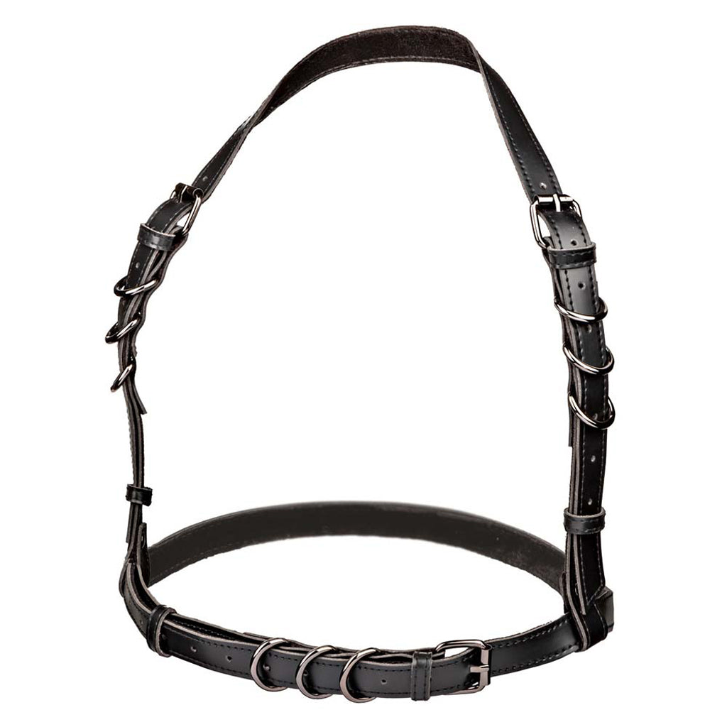 Euphoria Halter Buckle Harness XL Bondage and Fetish > Pleasure Masks and Dress Up Play - Tophatter Daily Deals