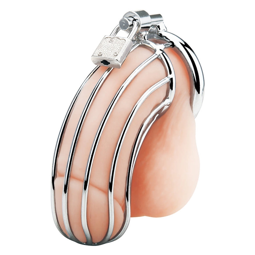 Blue Line Prisoner Cock Cage in Silver - Tophatter's Adult Products Bondage and Fetish > Cock and Ball Devices - Tophatter Daily Deals