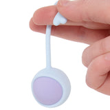 Loveline Pelvifit Strength Kegel Kit - Tophatter's Adult Sex Toys Online Kegel, Ben Wa and Pelvic Health Tools - Tophatter Daily Deals