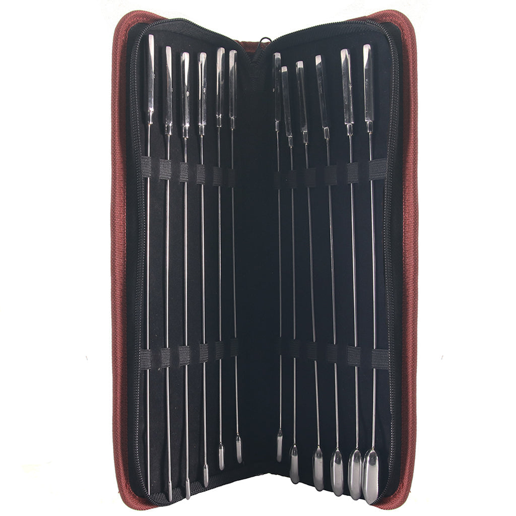 Stainless Steel 12 Pc. Rose Bud Sounding Set Bondage and Fetish > Cock and Ball Devices - Tophatter Daily Deals