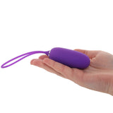 PinkCherry Remote Control Bullet Vibe in Purple Vibrators > Bullet and Egg Vibrators - Tophatter Daily Deals
