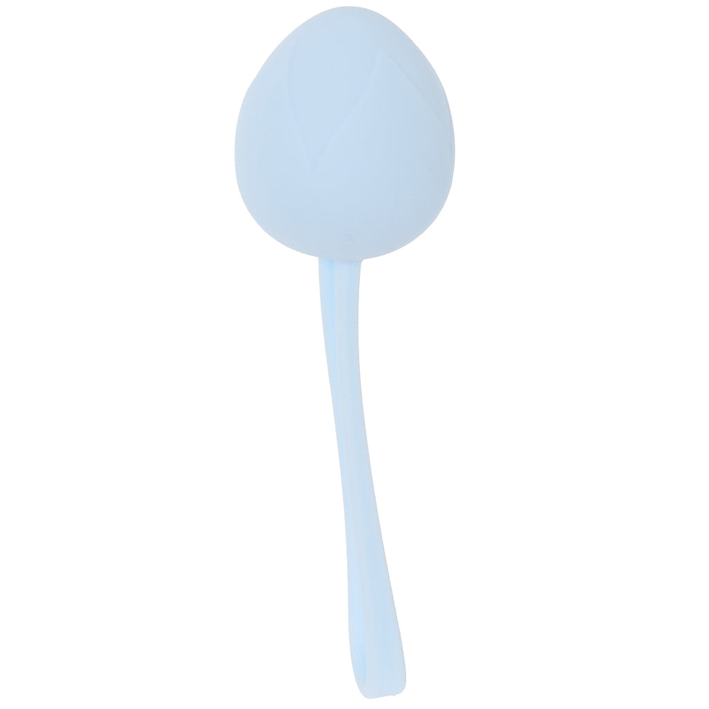 Loveline Pelvifit Berry Kegel Kit Kegel, Ben Wa and Pelvic Health Tools - Tophatter Daily Deals