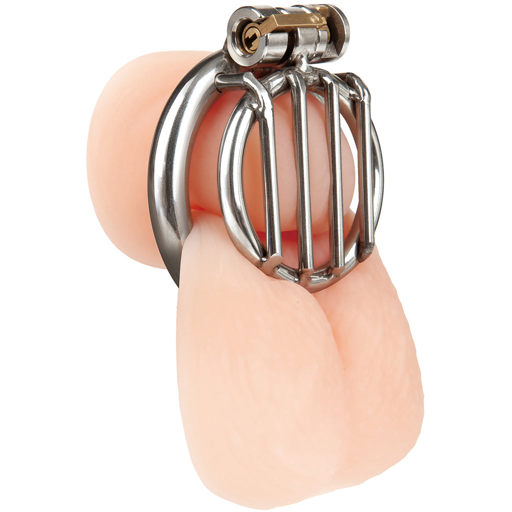 Blueline Stainless Steel Inverted Micro Jail Time Cock Cage Bondage and Fetish > Cock and Ball Devices - Tophatter Daily Deals