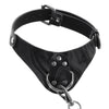 Velvet Noir Collar & Leash Bondage and Fetish > Leashes and Collars - Tophatter Daily Deals