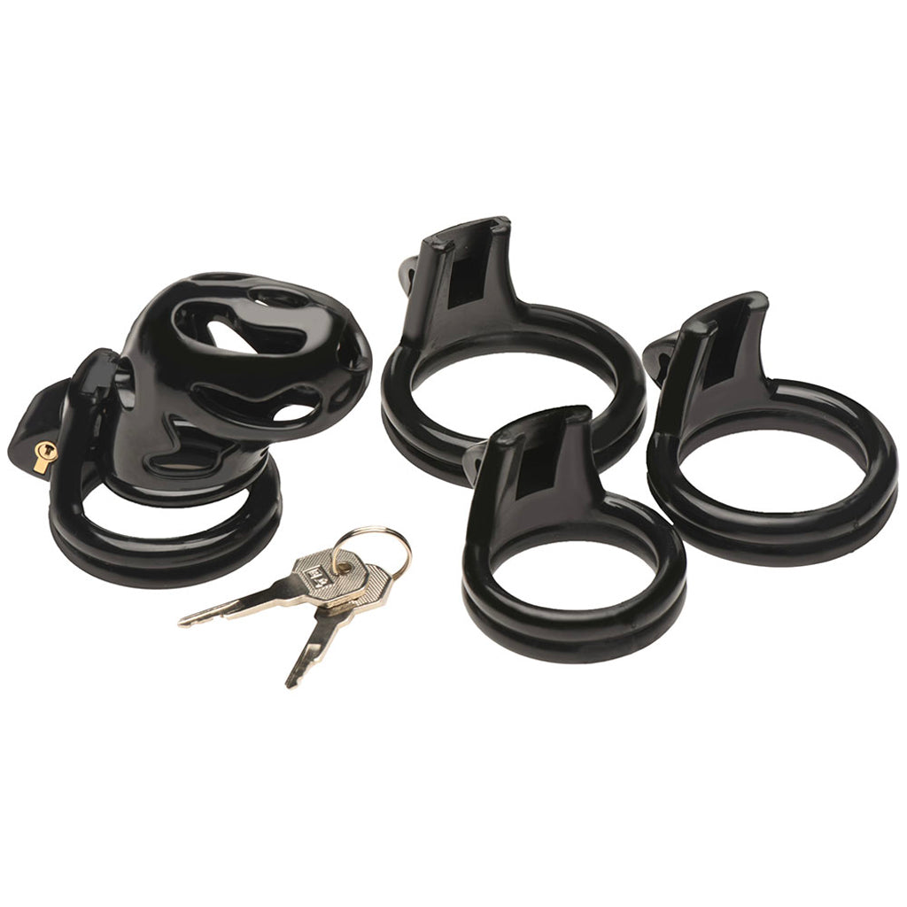 Master Series Hard Stop Double Ring Chastity Cage Bondage and Fetish > Cock and Ball Devices - Tophatter Daily Deals