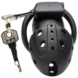 Master Series Lockdown Chastity Cage Bondage and Fetish > Cock and Ball Devices - Tophatter Daily Deals