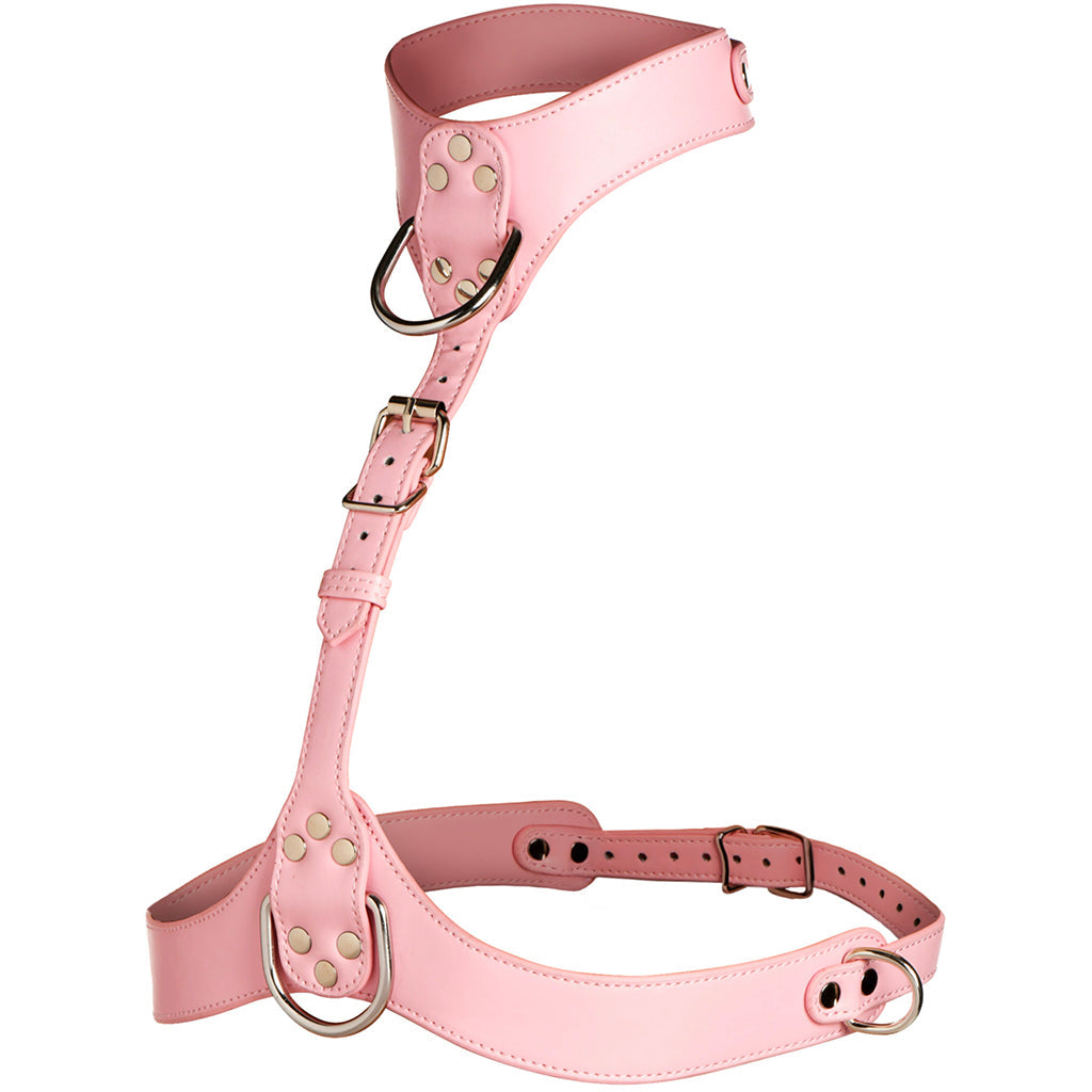 Master Series Vixen Chest Harness in Pink Bondage and Fetish > Tools & Accessories - Tophatter Daily Deals
