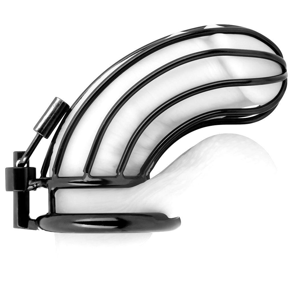 Blue Line Prisoner Cock Cage in Black - Tophatter's Adult Products Bondage and Fetish > Cock and Ball Devices - Tophatter Daily Deals