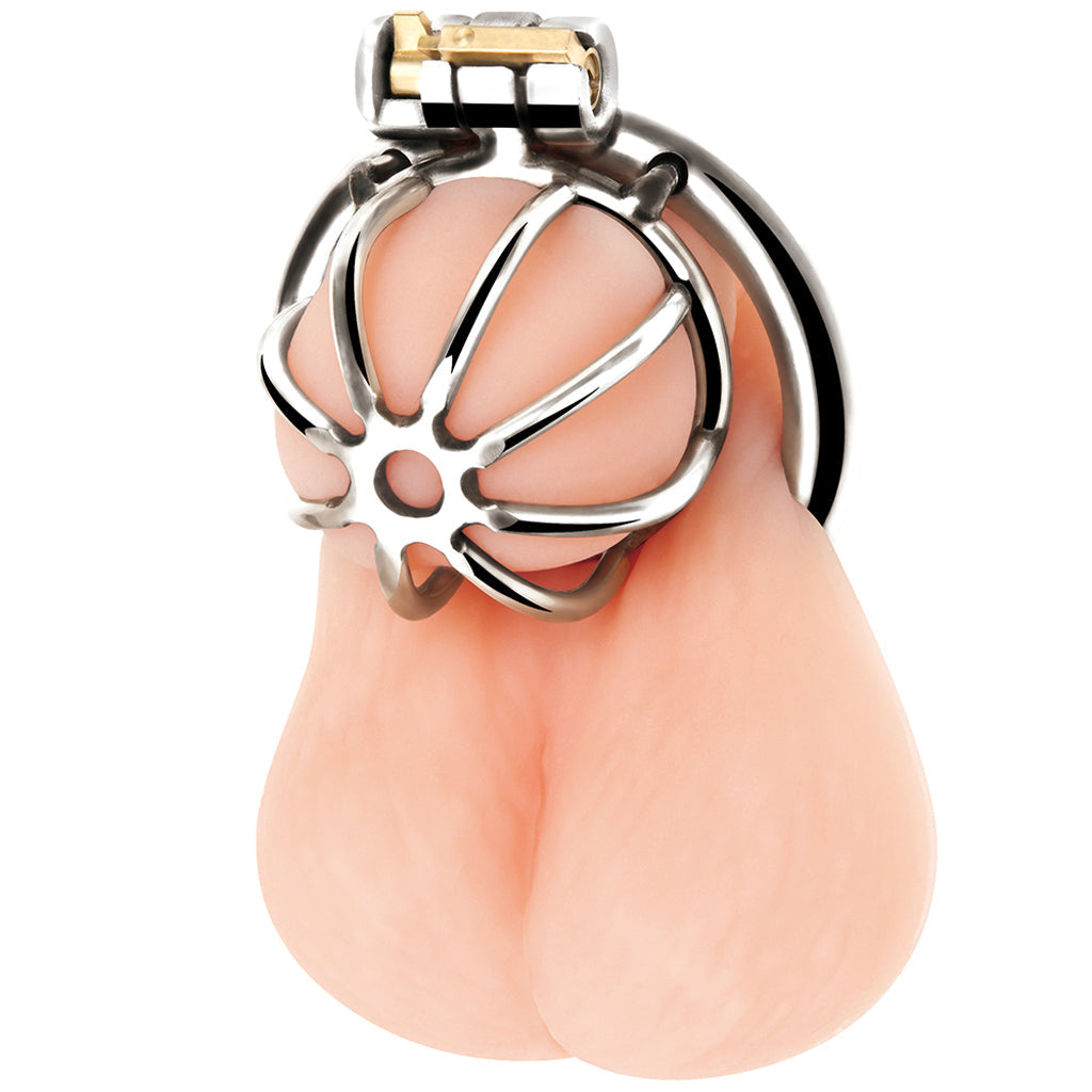 Blueline Little Cock Chastity Cage Bondage and Fetish > Cock and Ball Devices - Tophatter Daily Deals