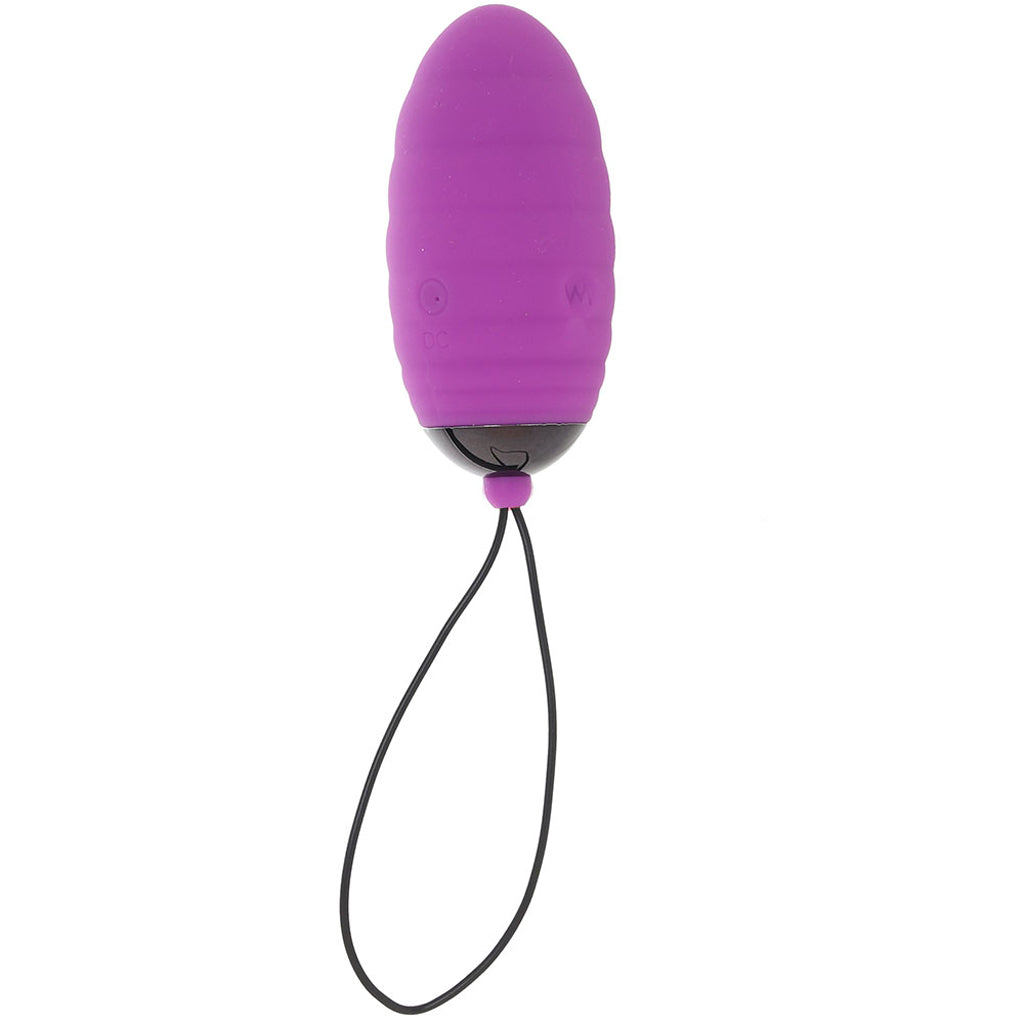 Ocean Breeze 2.0 Remote Egg Vibe in Purple Vibrators > Bullet and Egg Vibrators - Tophatter Daily Deals