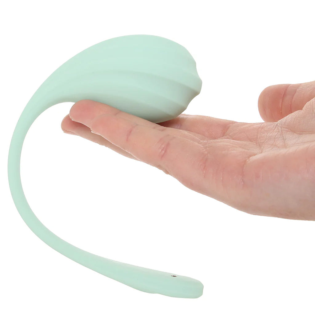 Satisfyer Smooth Petal Wearable Vibe in Mint Vibrators > Bullet and Egg Vibrators - Tophatter Daily Deals