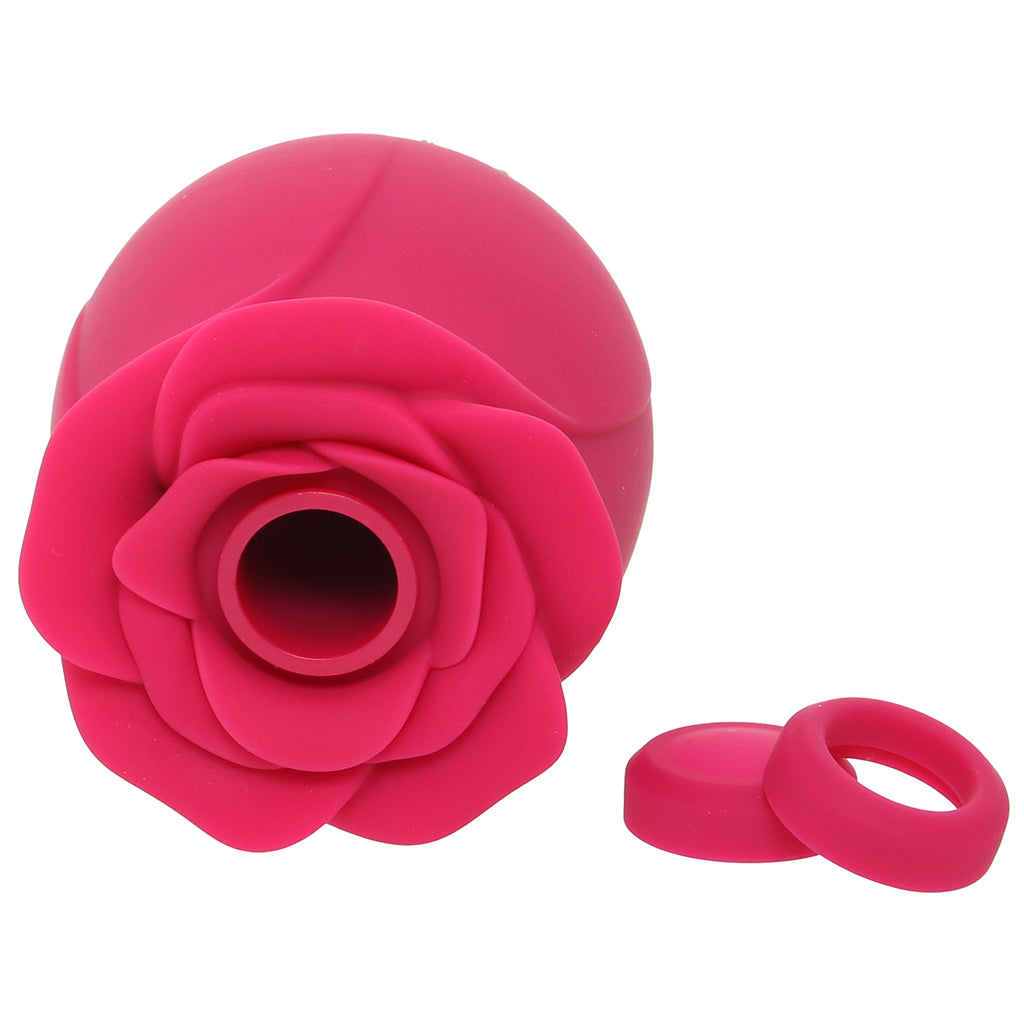 Satisfyer Pro 2 Classic Blossom Rose Vibe Vibrators > Clitoral Stimulators - Tophatter Daily Deals