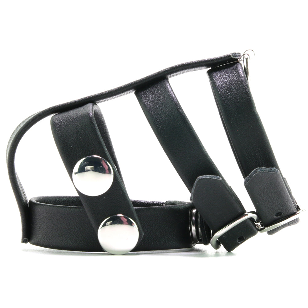 Blue Line Double Cock and Ball Strap with Leash Lead Bondage and Fetish > Cock and Ball Devices - Tophatter Daily Deals