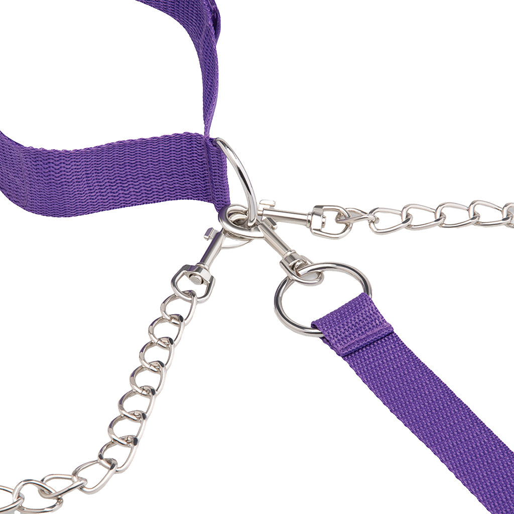 Collar, Cuff & Leash Set in Purple Bondage and Fetish > Leashes and Collars - Tophatter Daily Deals