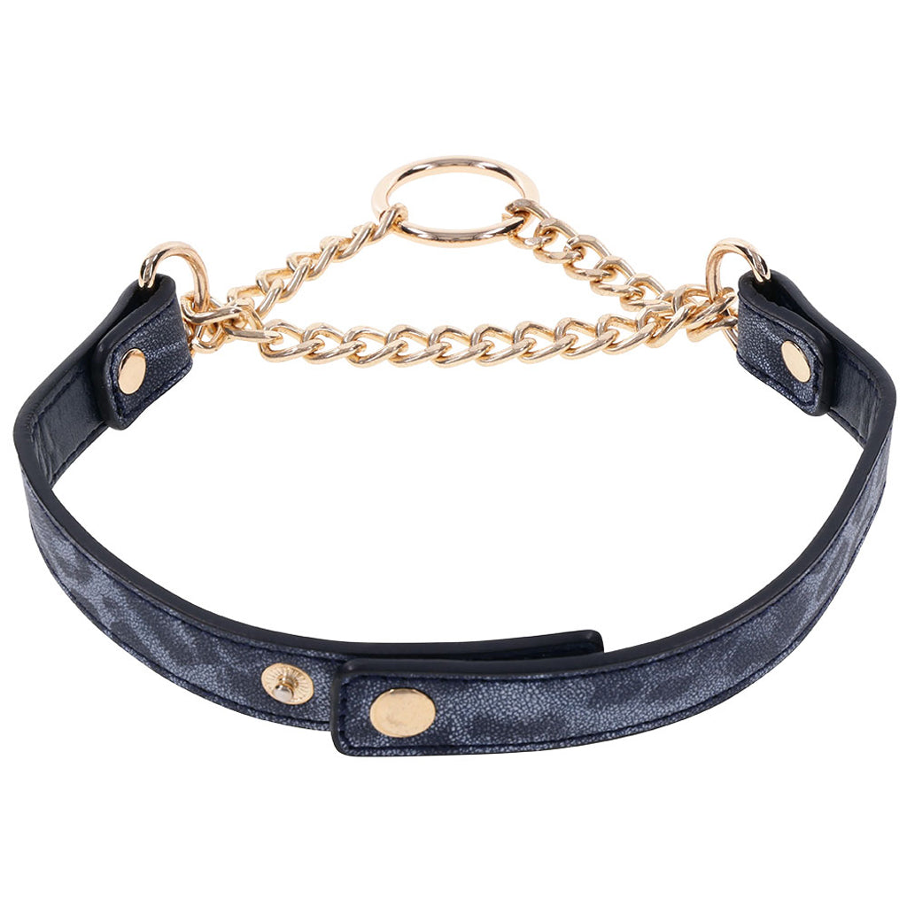 Sex & Mischief Cougar Day Collar Bondage and Fetish > Leashes and Collars - Tophatter Daily Deals