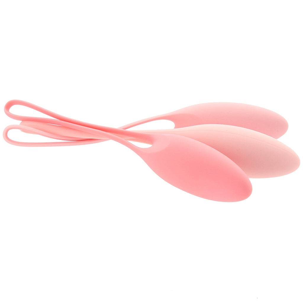 3 Piece Kegel Trainer Set In A Bag Kegel, Ben Wa and Pelvic Health Tools - Tophatter Daily Deals