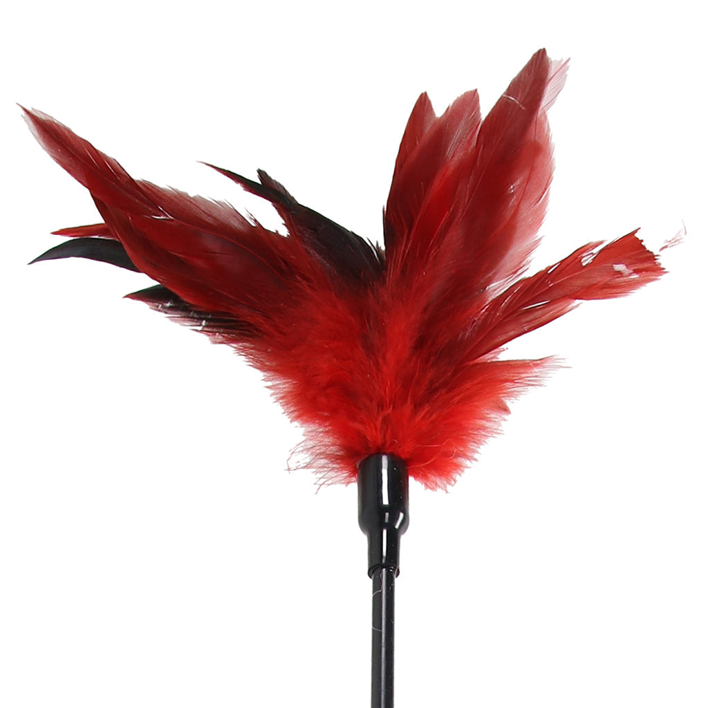 Sex & Mischief Feather Slapper Bondage and Fetish > Whips and Crops - Tophatter Daily Deals