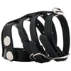 Blue Line Triple Cock and Ball Strap with Leash Lead Bondage and Fetish > Cock and Ball Devices - Tophatter Daily Deals