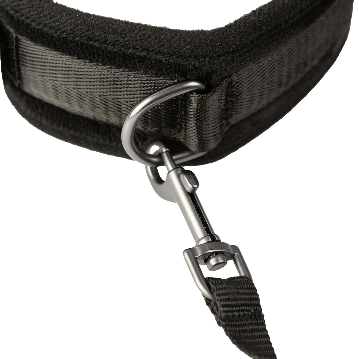 Sei Mio Take The Lead Neck Collar & Leash - Tophatter's Adult Sex Toys Online Bondage and Fetish > Leashes and Collars - Tophatter Daily Deals