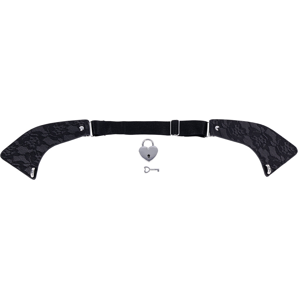 S&M Heartbound Lace Day Collar Bondage and Fetish > Leashes and Collars - Tophatter Daily Deals
