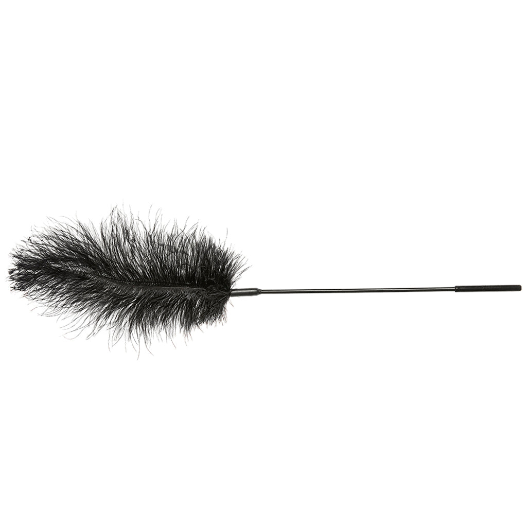 Ostrich Feather Body Tickler in Black - Tophatter's Adult Products Bondage and Fetish > Tools & Accessories - Tophatter Daily Deals