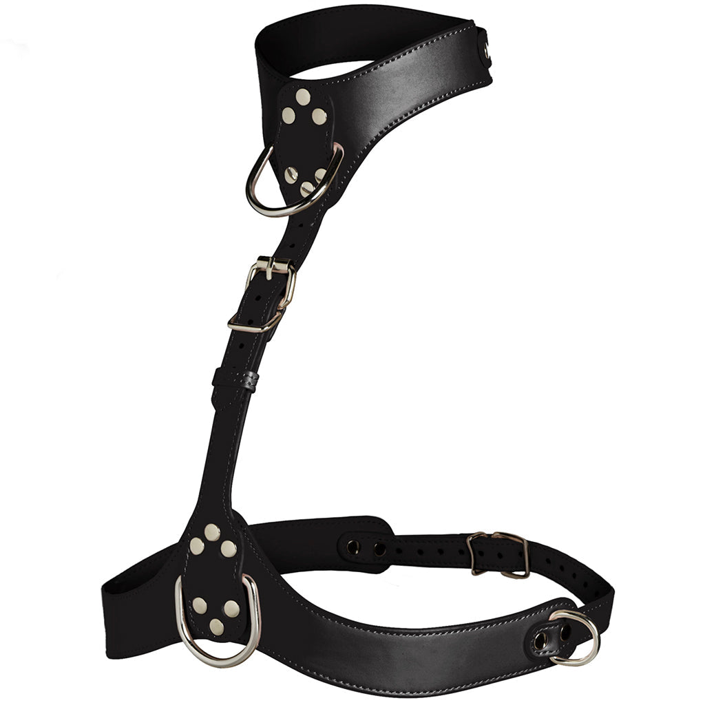 Master Series Vixen Chest Harness in Black - Tophatter's Adult Sex Toys Online Bondage and Fetish > Tools & Accessories - Tophatter Daily Deals