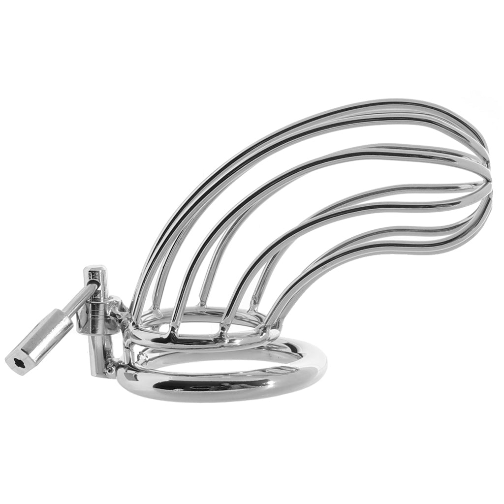 Blue Line Prisoner Cock Cage in Silver Bondage and Fetish > Cock and Ball Devices - Tophatter Daily Deals