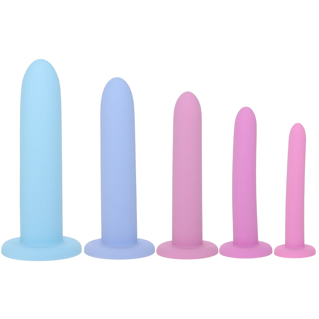 Passion Silicone Pelvic Dilator and Kegel Set Kegel, Ben Wa and Pelvic Health Tools - Tophatter Daily Deals