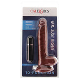 Mr. Just Right Elite Eight Vibe in Brown - Tophatter's Vibrator Deals Online Vibrators > Realistic Vibrator Dildos - Tophatter Daily Deals