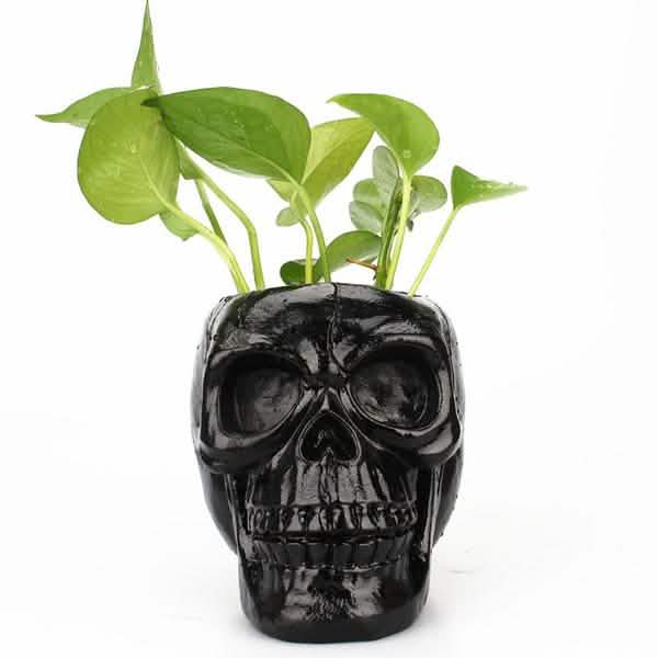 Multifunction Creative Skull Storage Stationery Holder Furniture & Decor - Tophatter Daily Deals