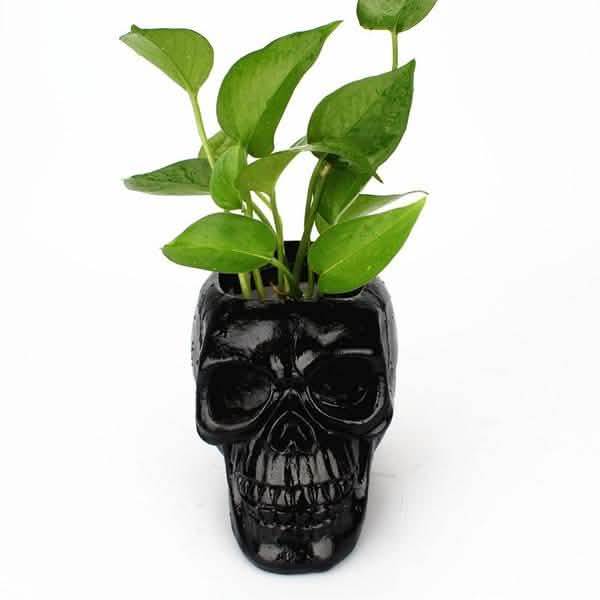 Multifunction Creative Skull Storage Stationery Holder Furniture & Decor - Tophatter Daily Deals