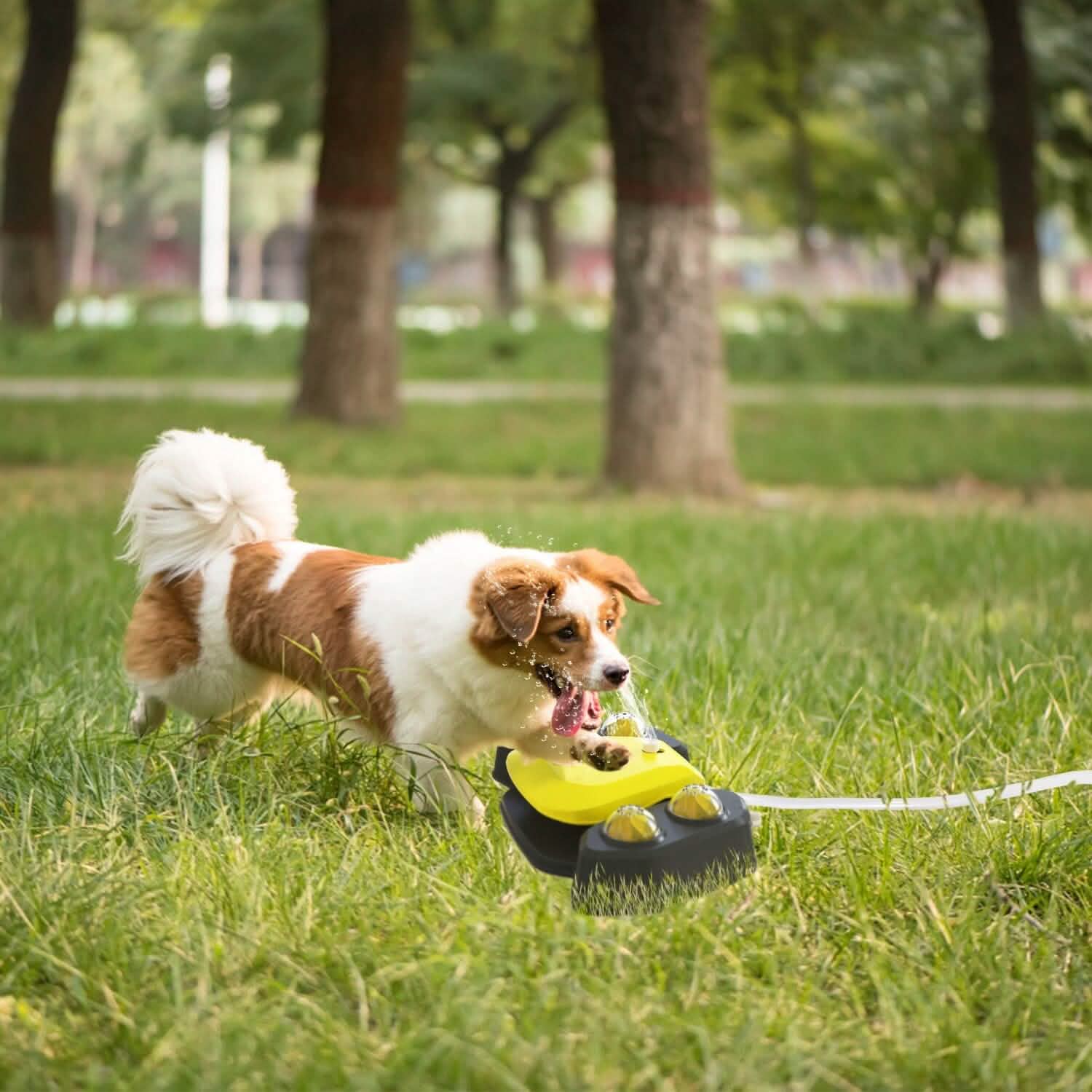 Multifunctional Automatic Pet Water Dispenser Outdoor Step-on Activated Sprinkler Pet Supplies - Tophatter Daily Deals
