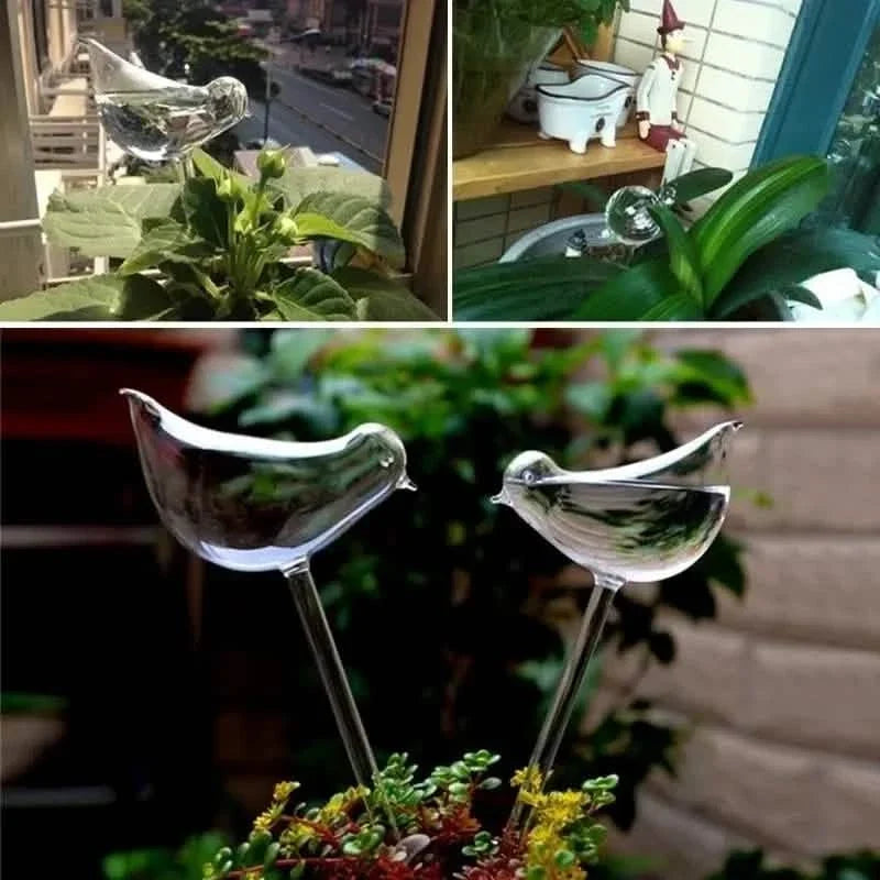 Mushroom Flower Watering Device Garden & Patio - Tophatter Daily Deals