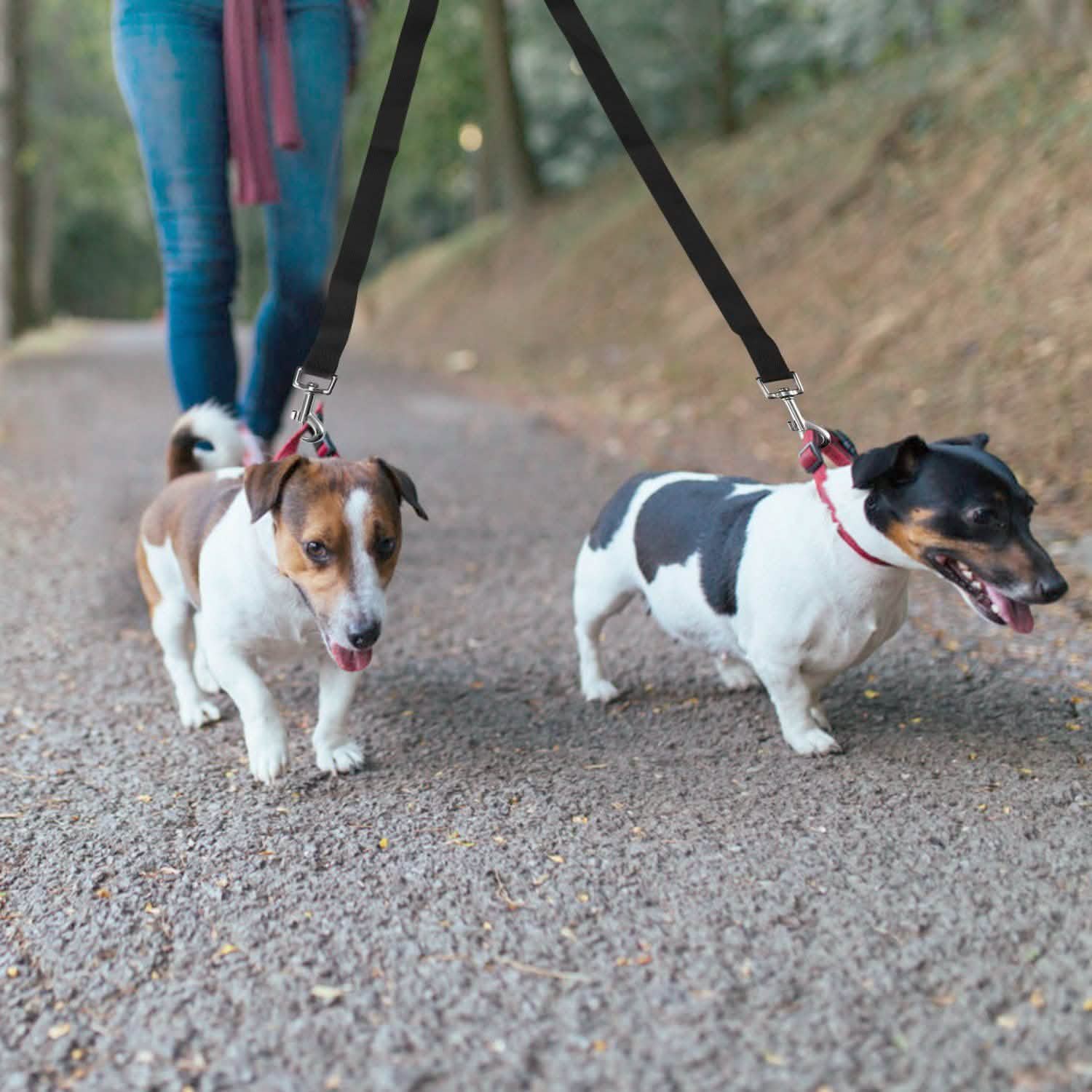 No-Tangle Dual Dogs Leash Pet Supplies - Tophatter Daily Deals