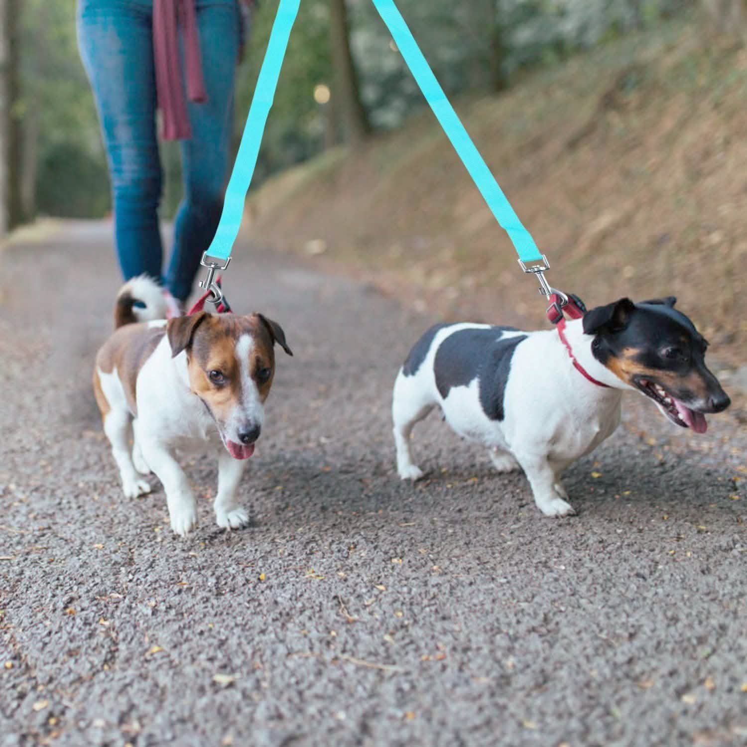 No-Tangle Dual Dogs Leash Pet Supplies - Tophatter Daily Deals