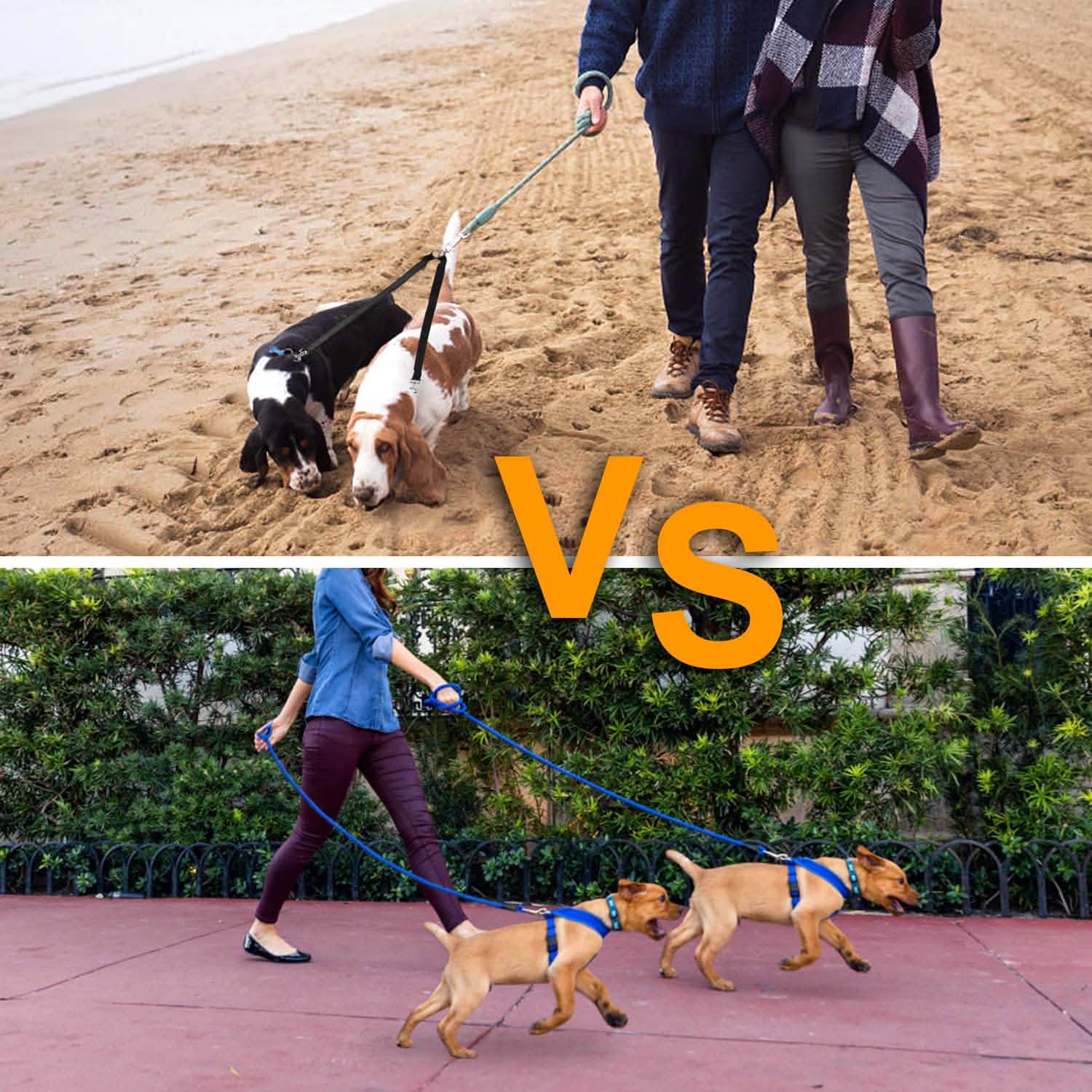 No-Tangle Dual Dogs Leash Pet Supplies - Tophatter Daily Deals